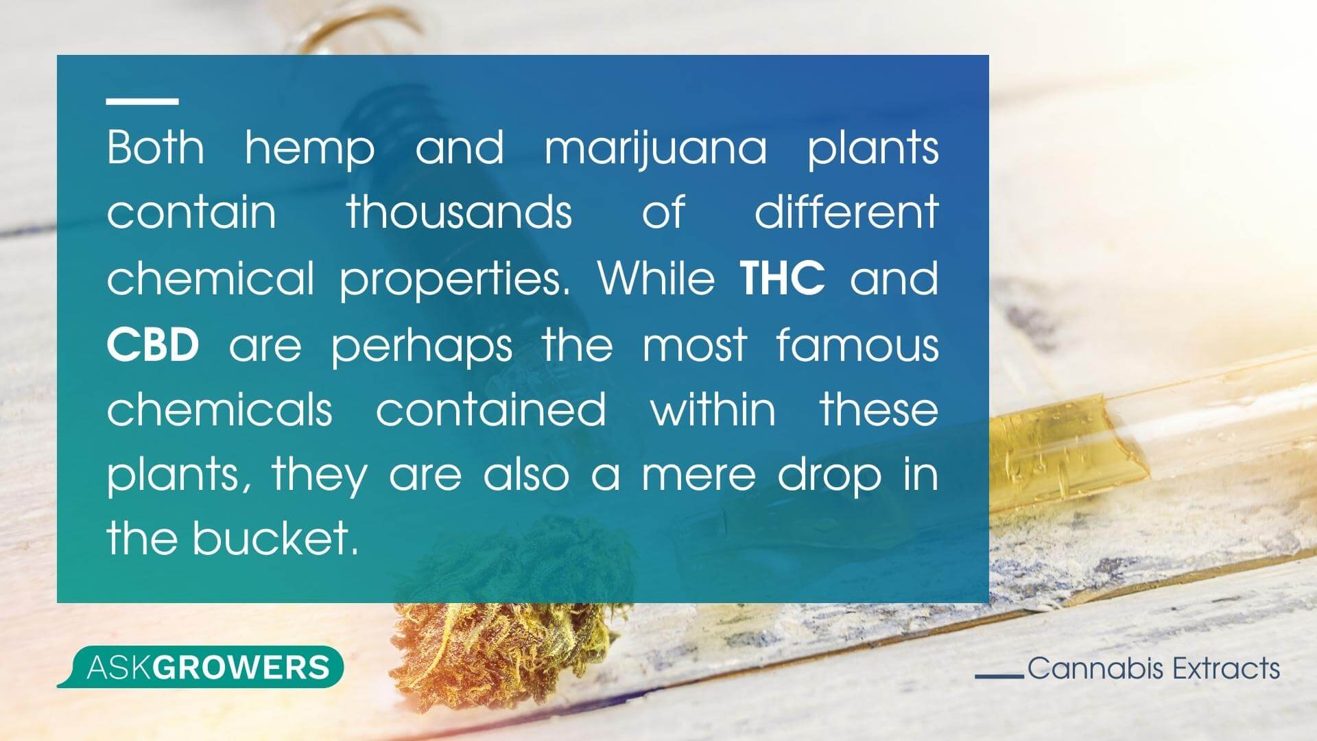 Chemicals in Marijuana Plants