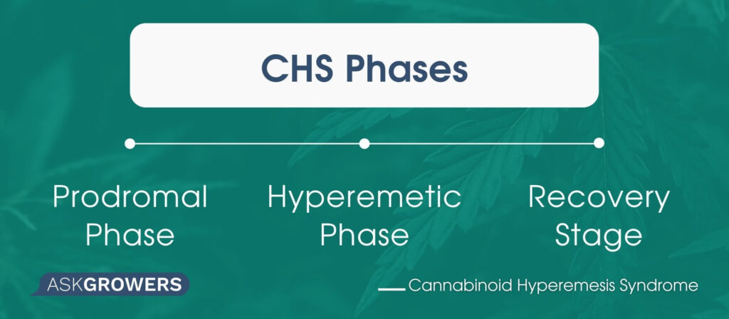 CHS Phases