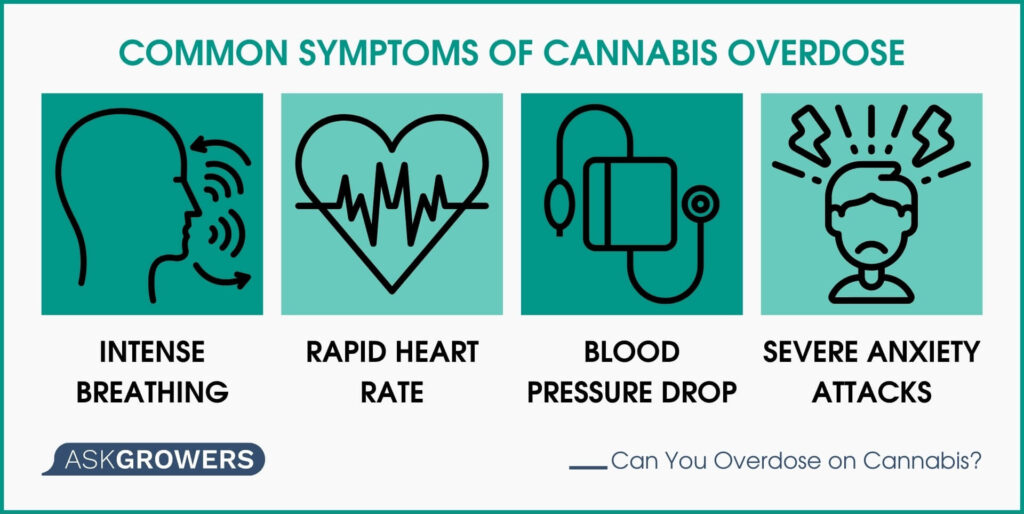 Common Symptoms of Cannabis Overdose