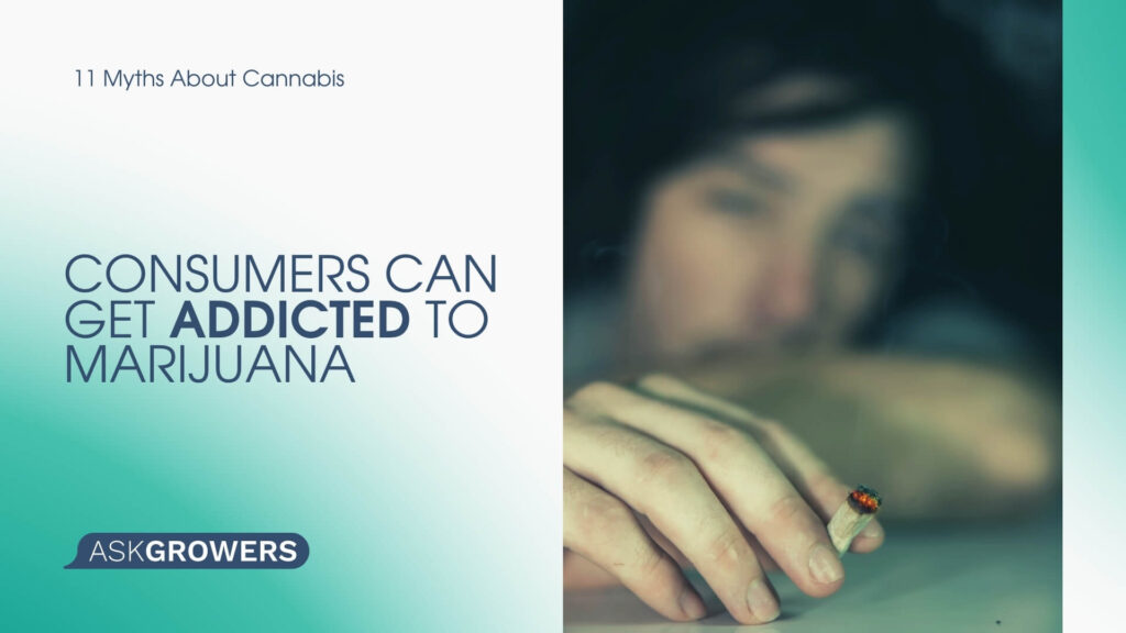 Consumers Can Get Addicted to Marijuana