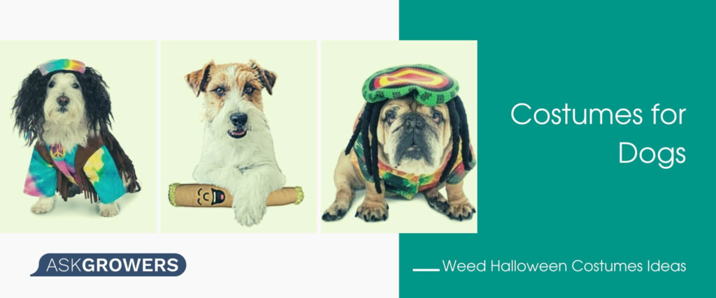 Costumes for Dogs