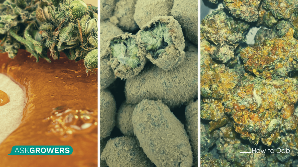 Dabs vs. Moon Rocks vs. Sun Rocks