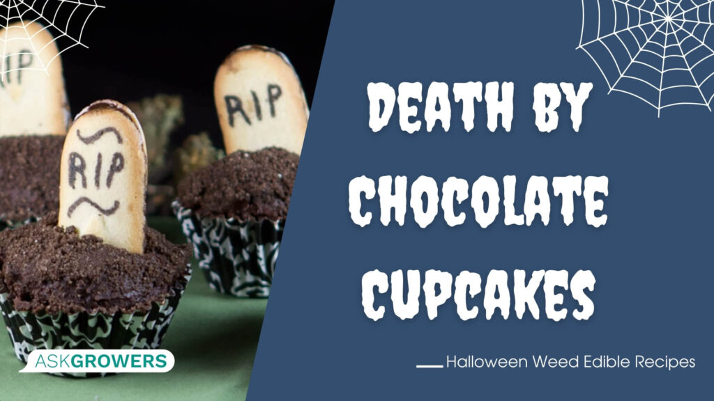 Death by Chocolate Cupcakes With Cannabis-Infused Oil