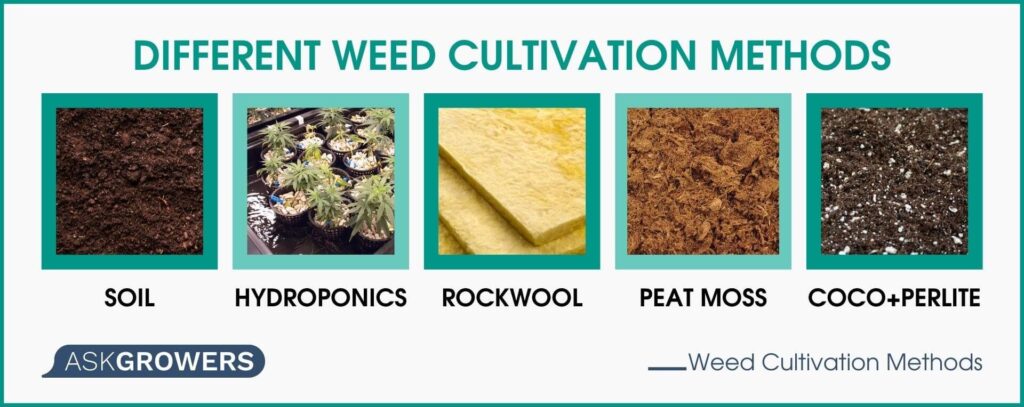 Different Weed Cultivation Methods