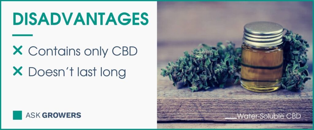 Disadvantages of Water-Soluble CBD
