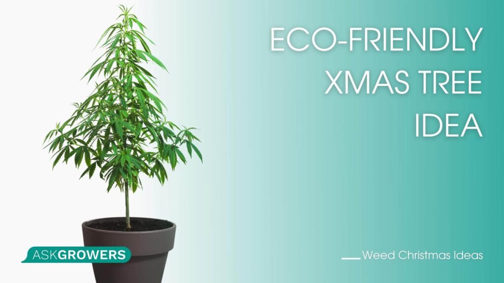 Eco-Friendly Xmas Tree Idea