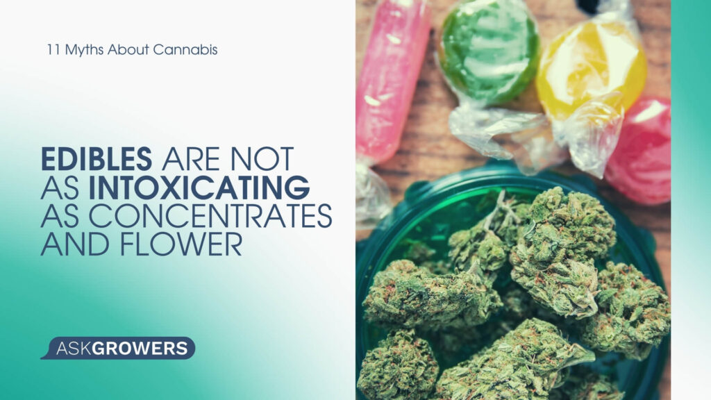 Edibles Are Not As Intoxicating As Concentrates and Flower