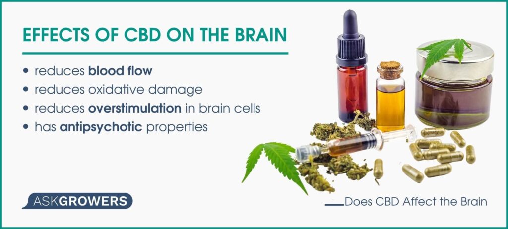 Effects Of CBD on the Brain