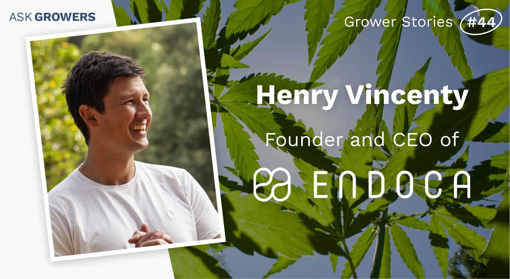 Grower Stories #44: Henry Vincenty