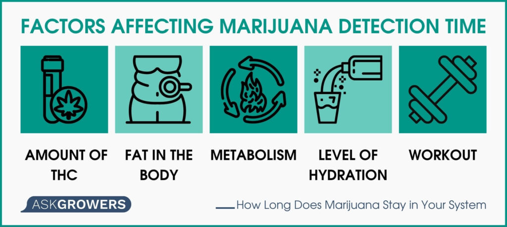Factors Affecting Marijuana Detection Time