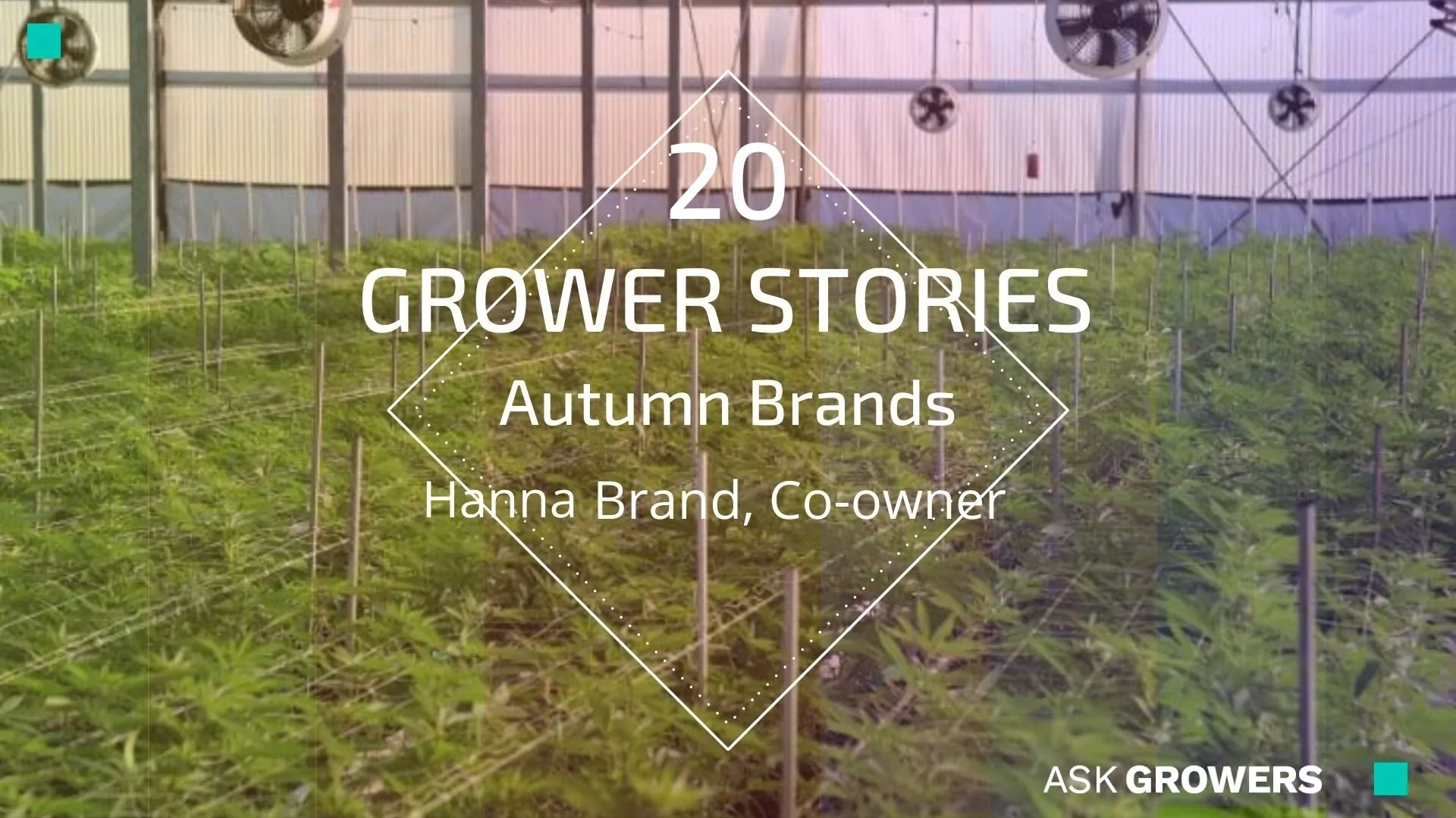 Grower Stories #20: Hanna Brand