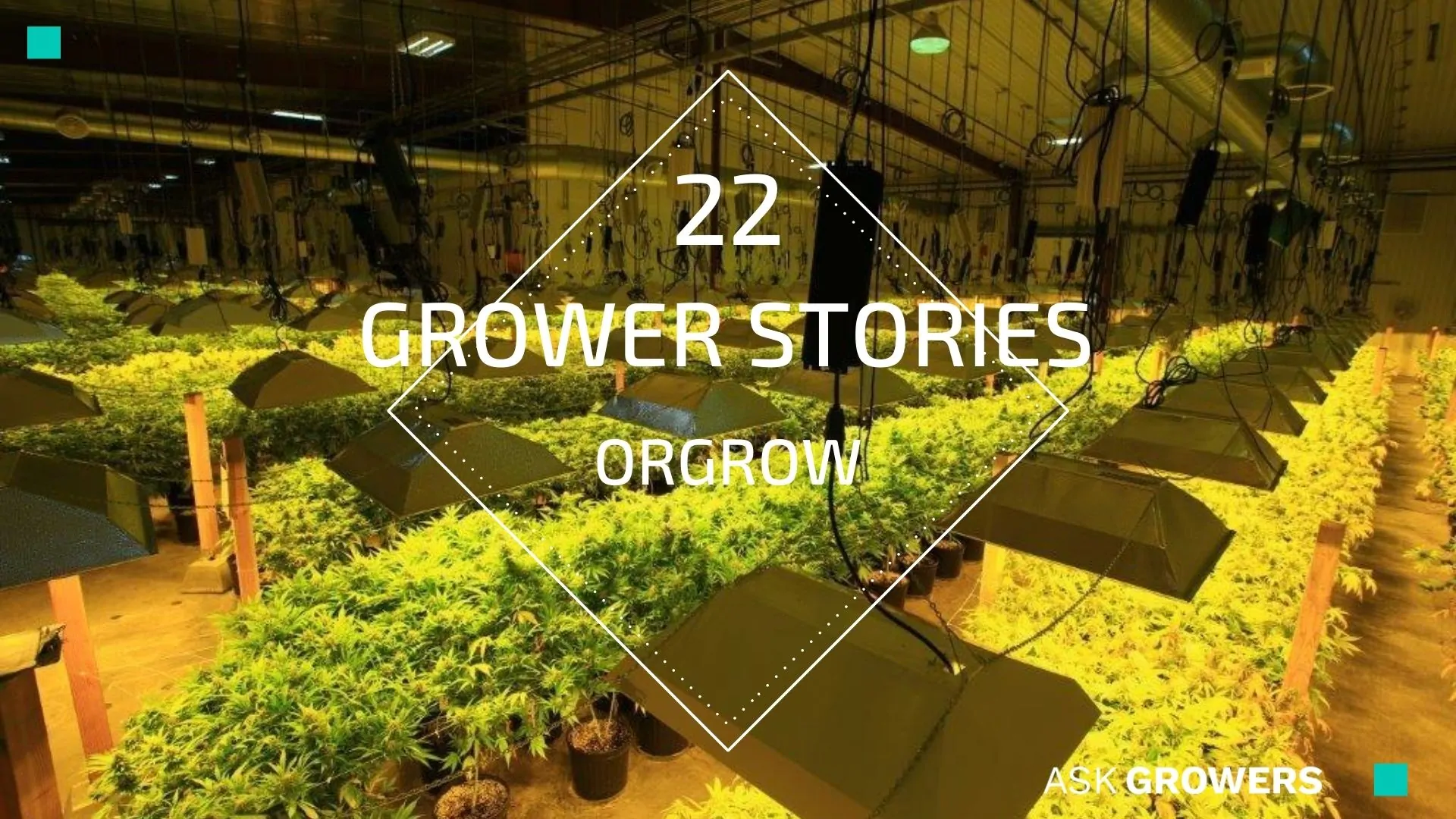 Grower Stories #22: ORGROW Team