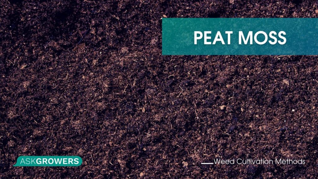Growing Weed in Peat Moss