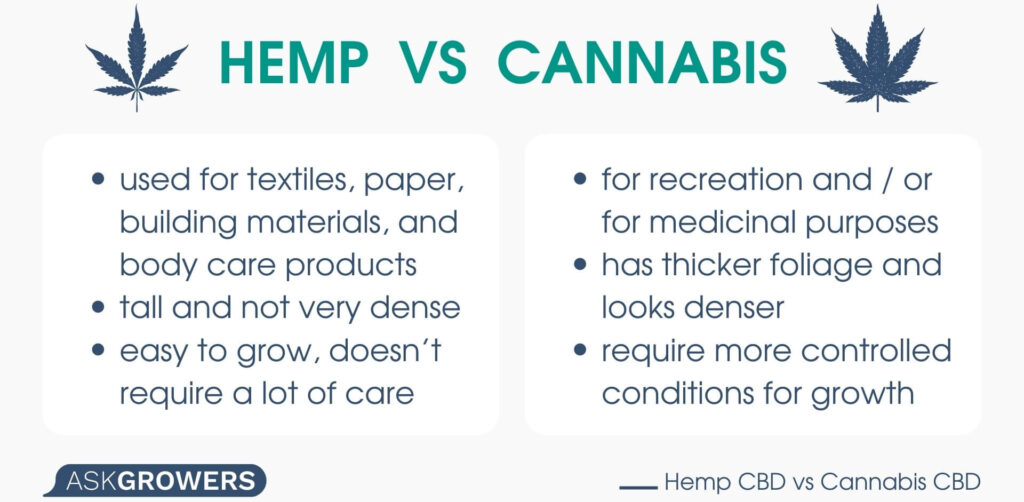 Hemp and Cannabis Comparison
