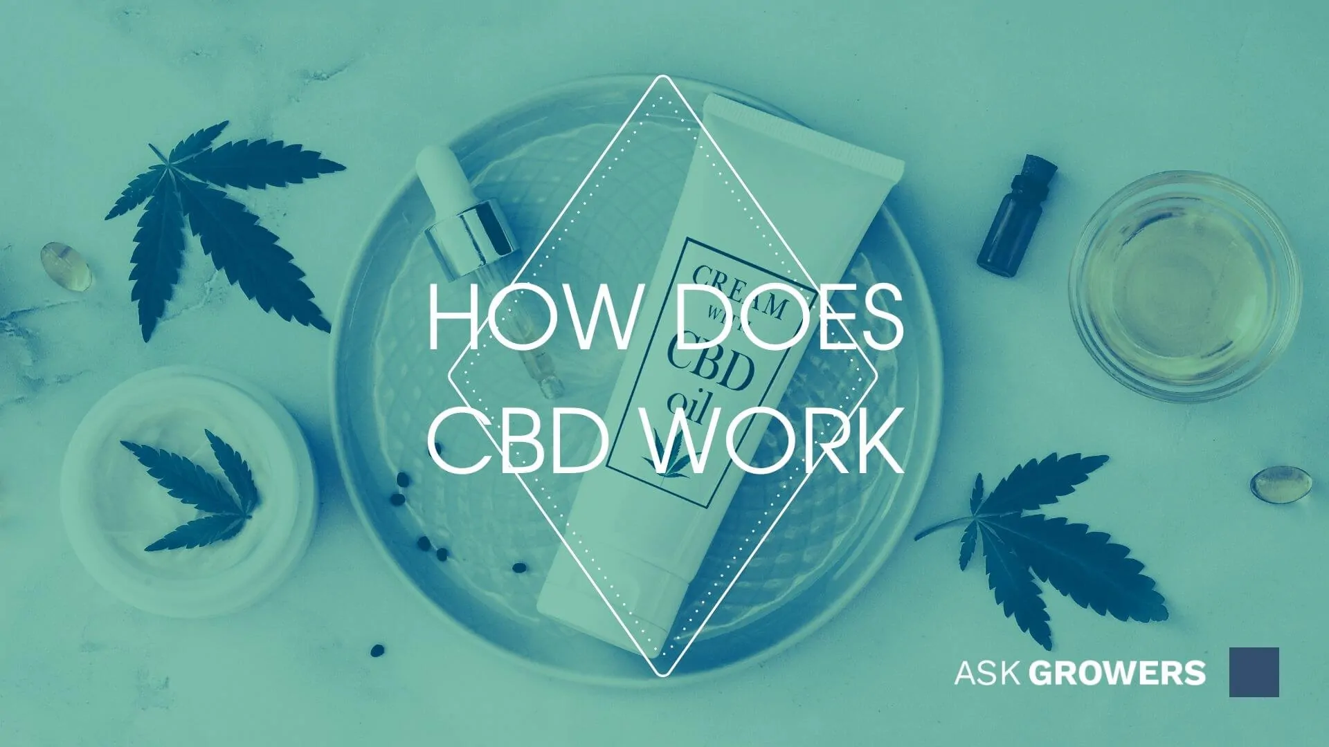 What Is CBD and How Does It Work