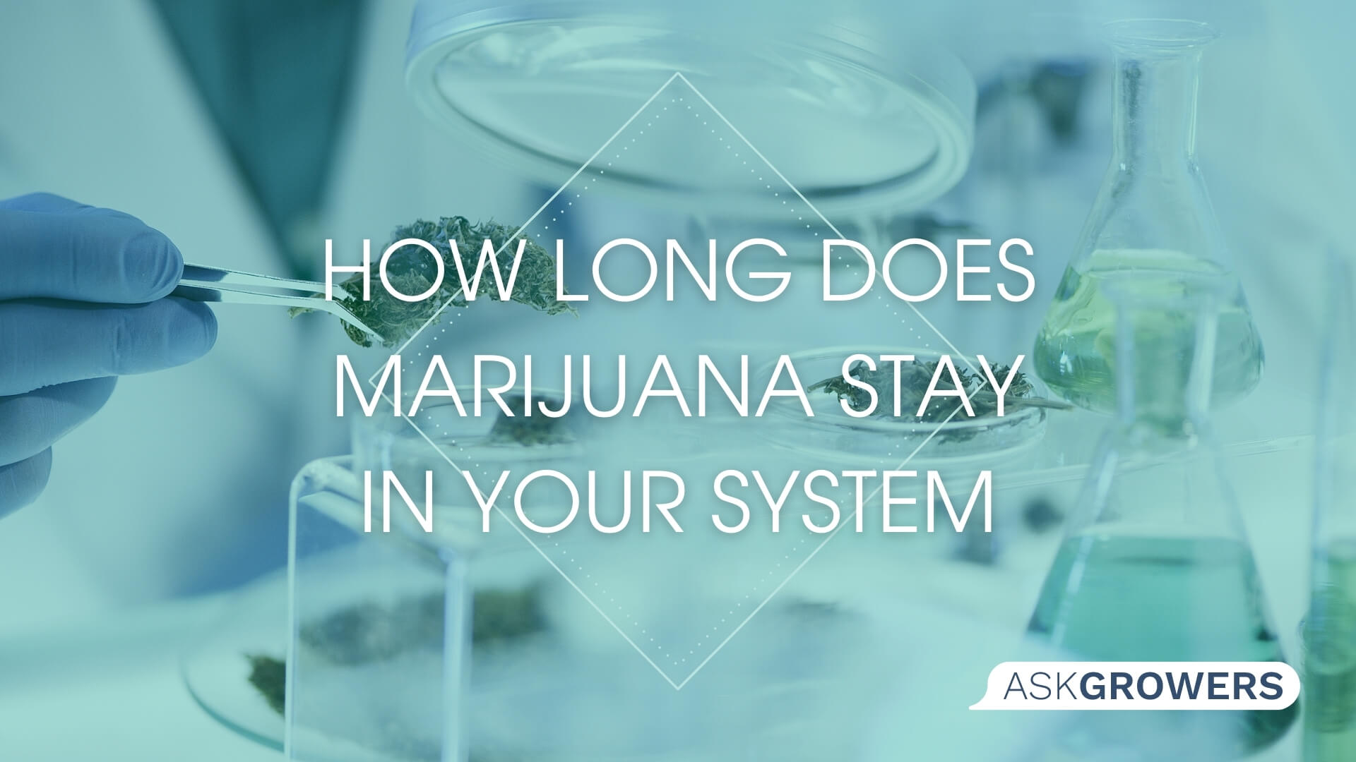 How Long Does Marijuana Stay in Your System, and What Does It Depend On?