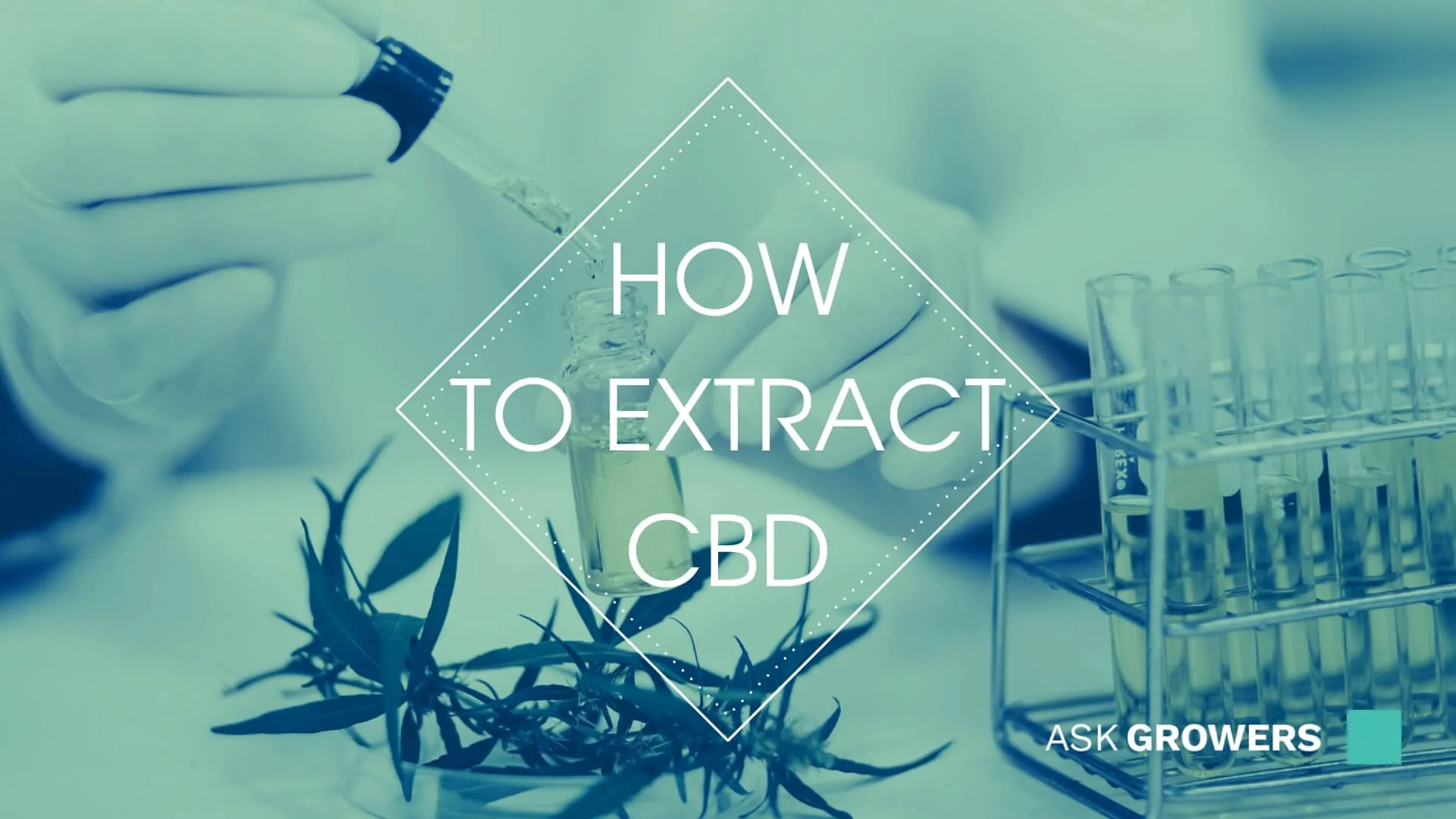 How to Extract CBD: CBD Extraction Methods Explained