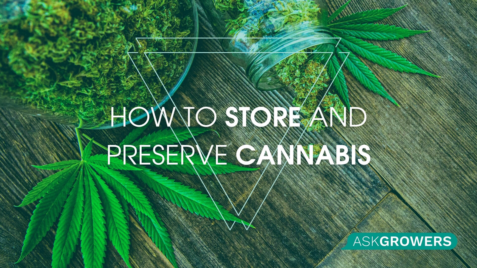 How to Store and Preserve Cannabis