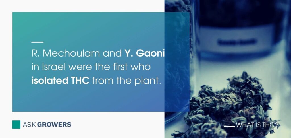 How Was THC Discovered
