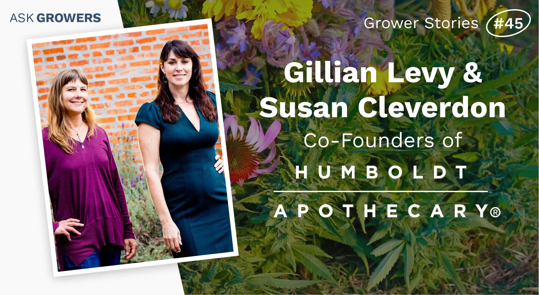 Grower Stories #45: Gillian Levy