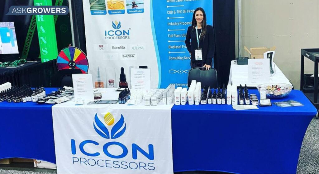 Icon Processors products picture