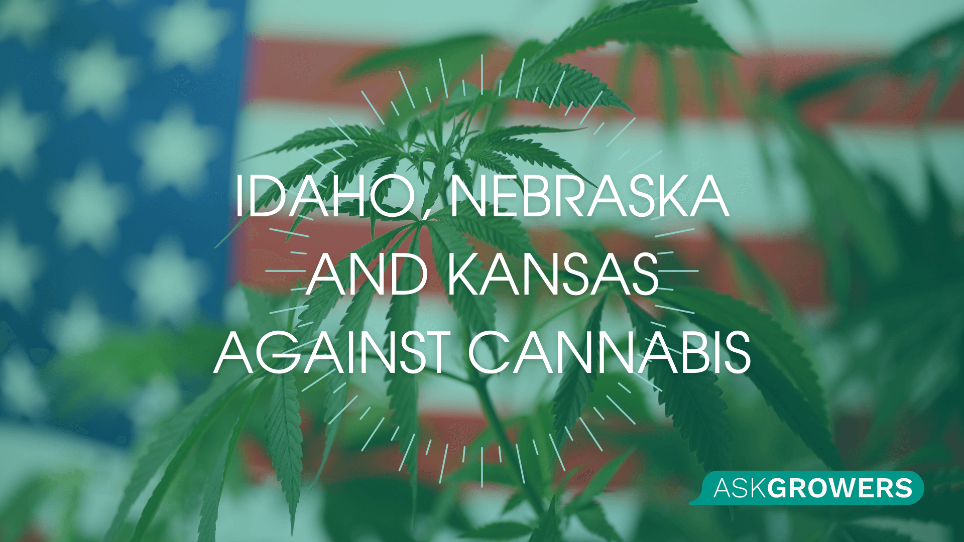 Why Idaho, Nebraska, and Kansas Are Strongly Opposed to Cannabis?