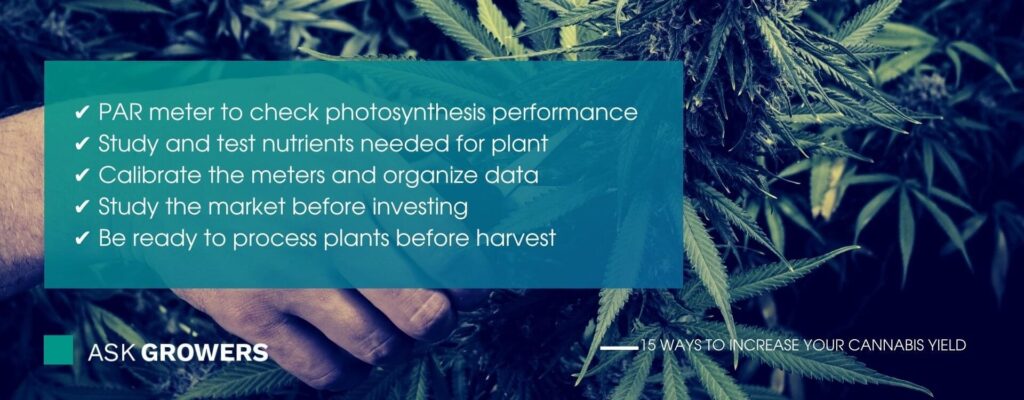 Increase Cannabis Yield: Use Technology