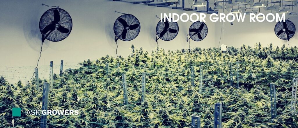 Indoor Grow Room