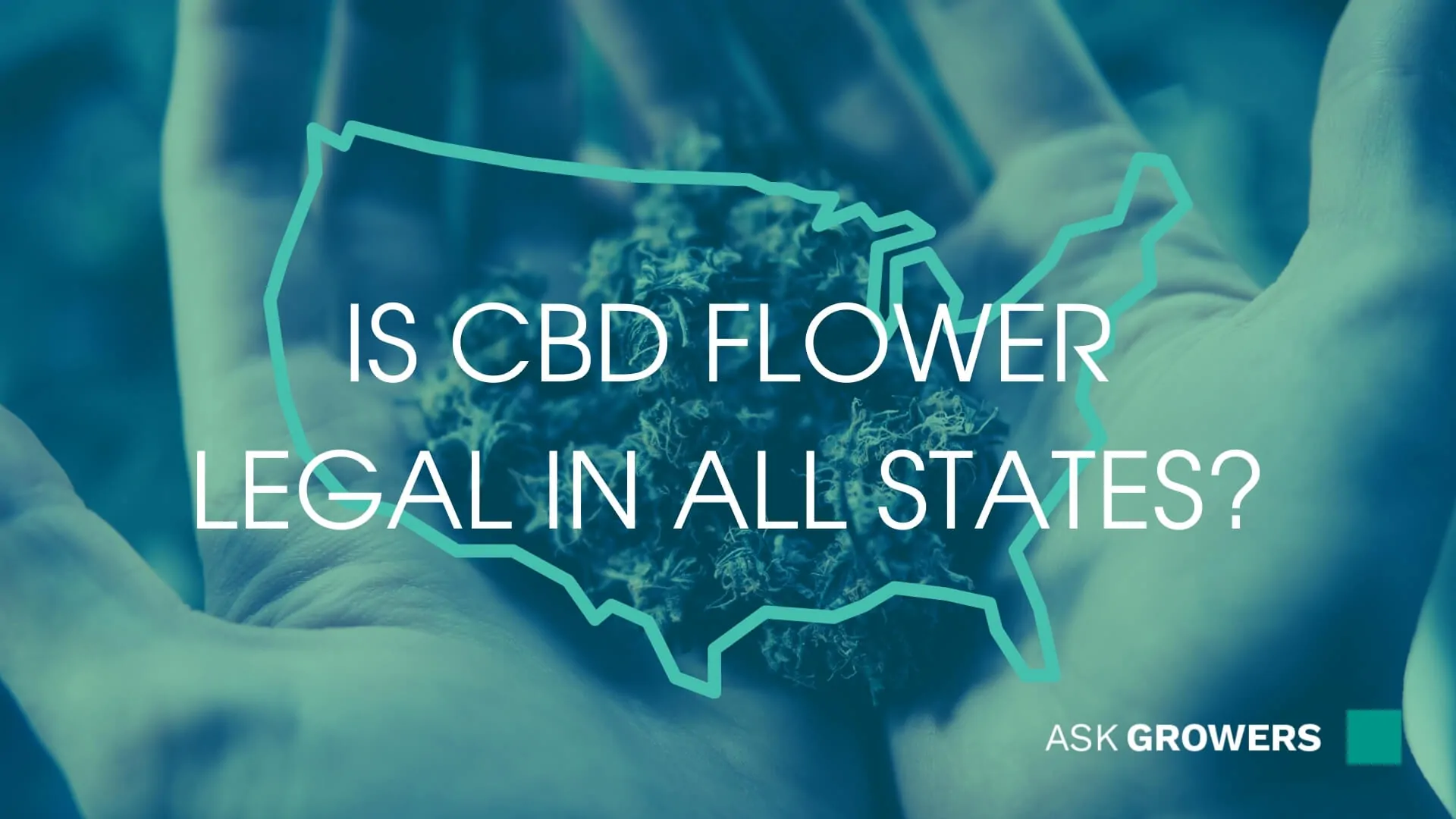 Is CBD Flower Legal in All States?