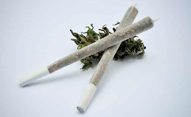 Joints Vs Blunts Vs Spliffs- The Ultimate Cannabis Guide 2021 by AskGrowers
