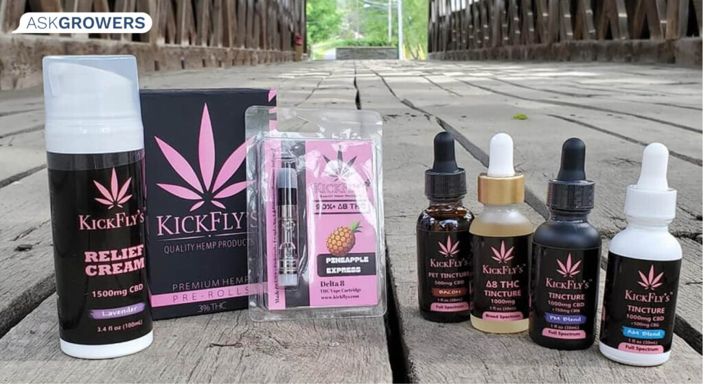 KickFly's products picture