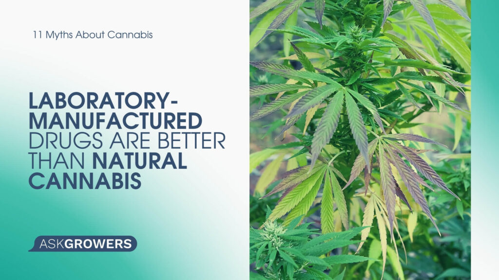 Laboratory-Manufactured Drugs Are Better Than Natural Cannabis
