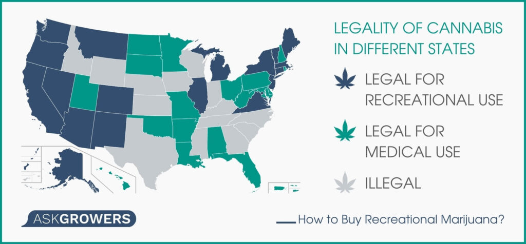 Legality of Cannabis in Different States