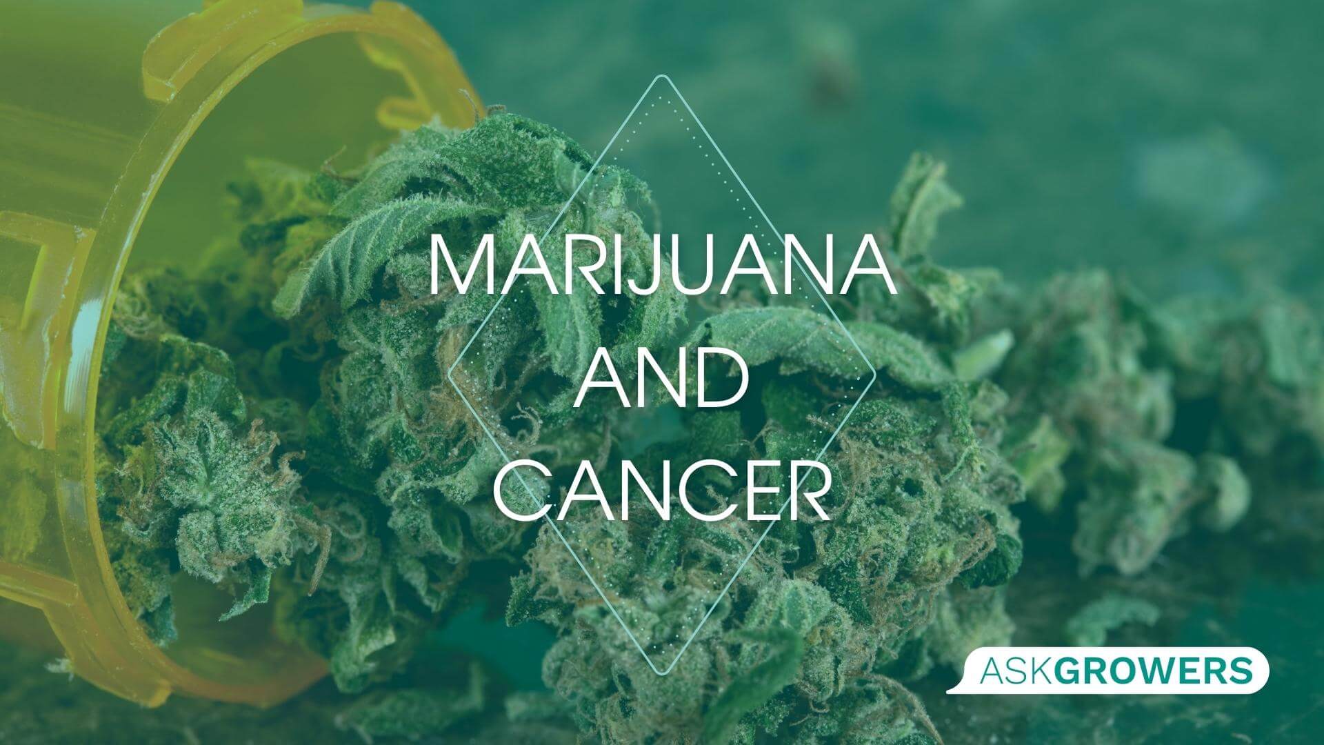 Can Marijuana Reduce Symptoms of Cancer or Even Treat It?