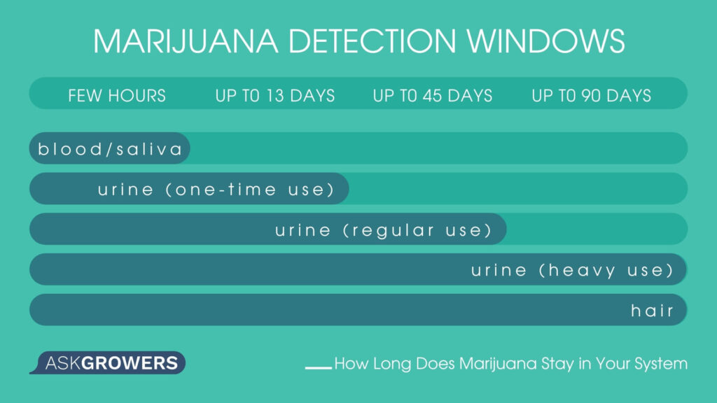 Marijuana Detection Windows