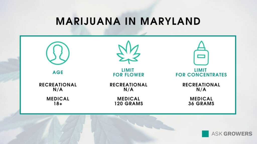 Marijuana in Maryland