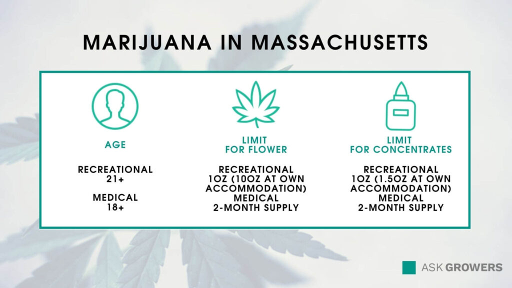 Marijuana in Massachusetts