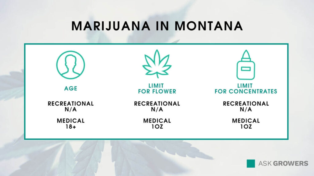 Marijuana in Montana