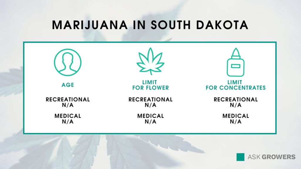 Marijuana in South Dakota