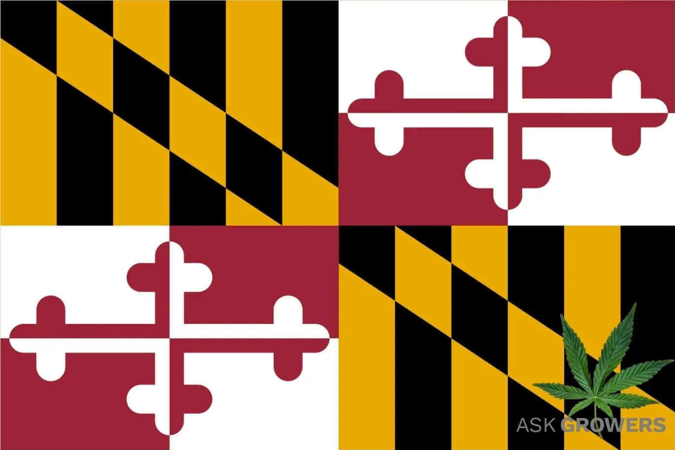 Cannabis in Maryland