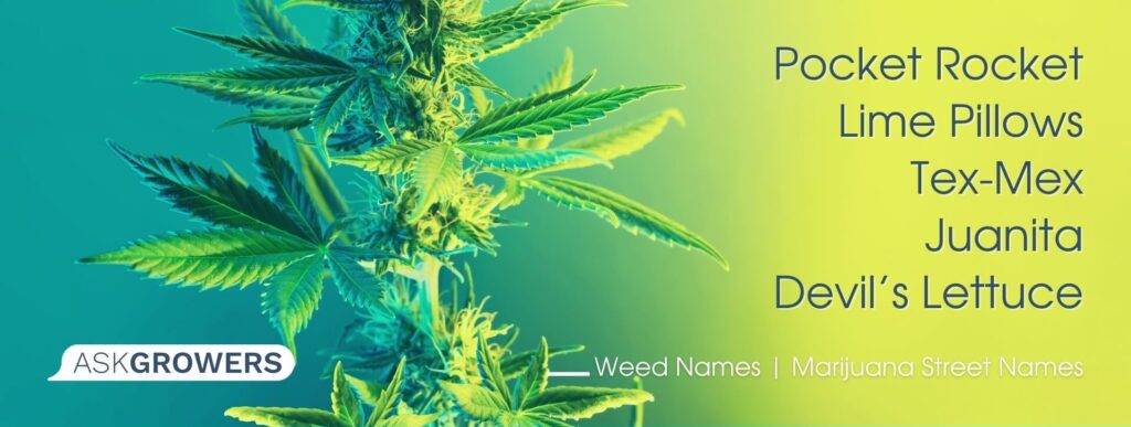 Marijuana Street Names