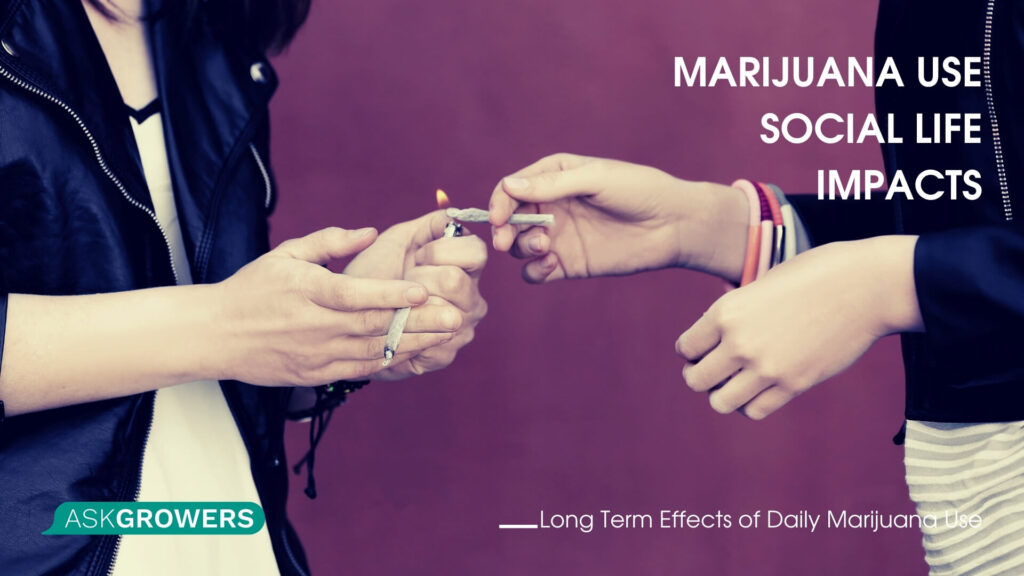 Marijuana use: effects on social life