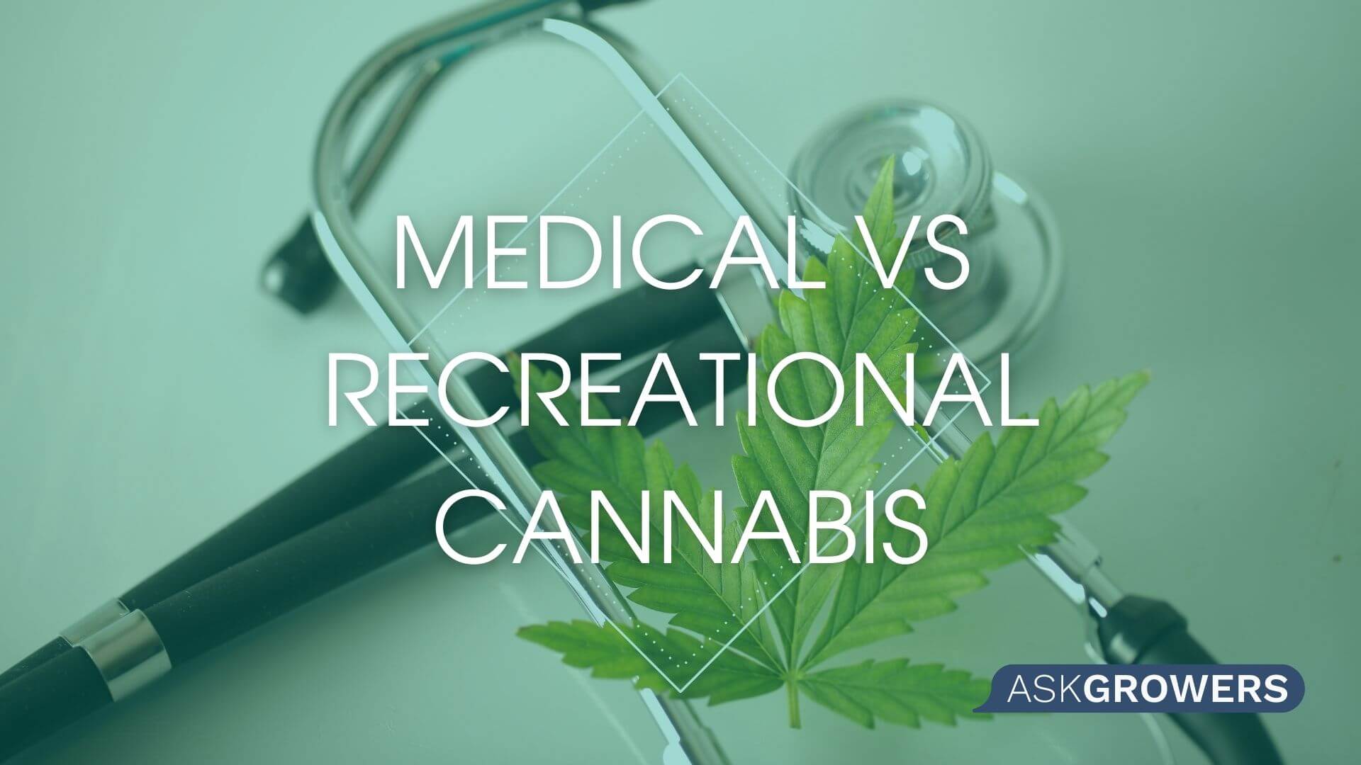 Your Guide to Medical vs Recreational Cannabis