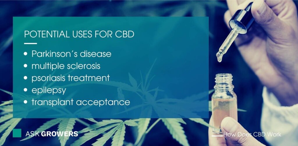 Potential Uses for CBD