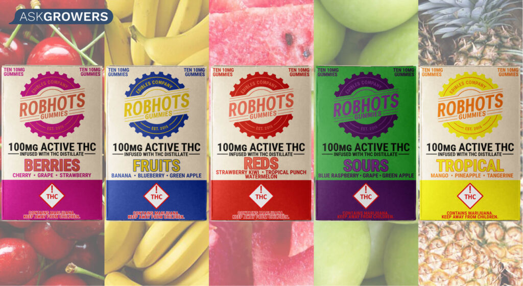 Robhots product picture