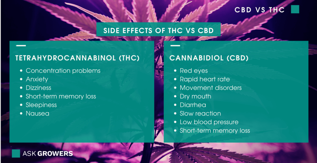side effects of THC vs CBD