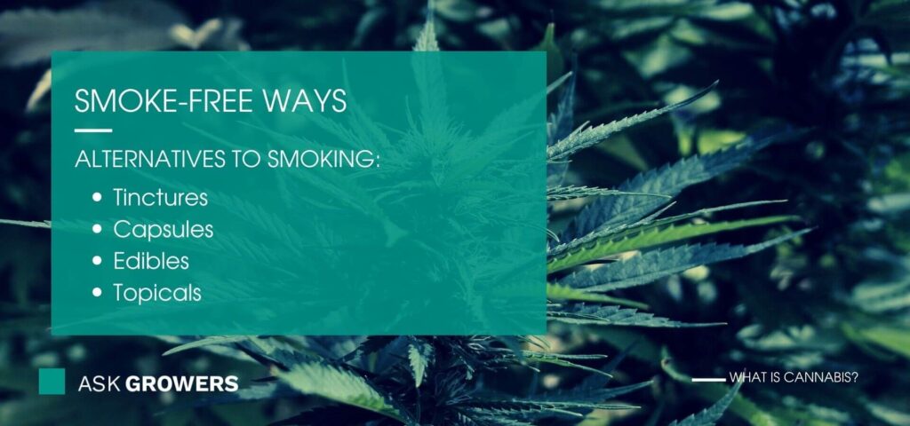 Smoke-free ways