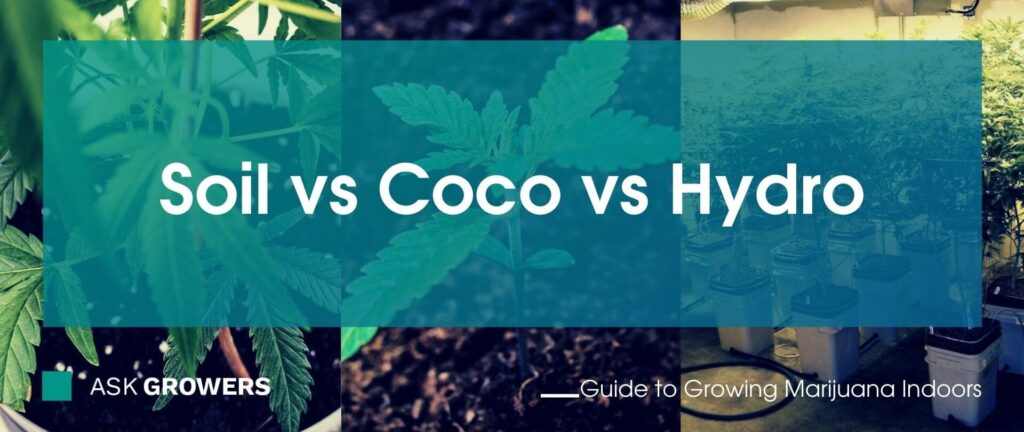 Soil vs Coco vs Hydro