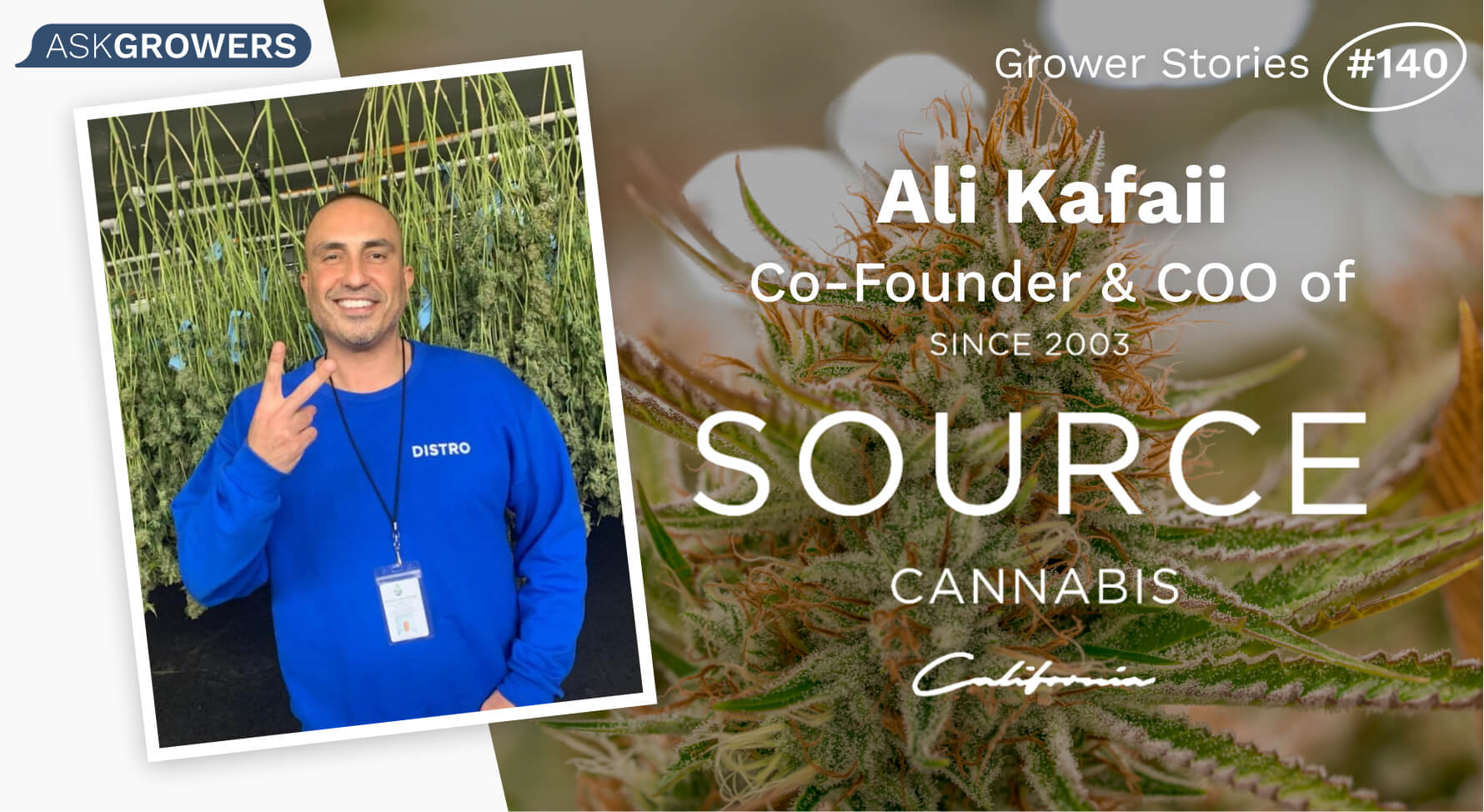 Grower Stories #140: Ali Kafaii