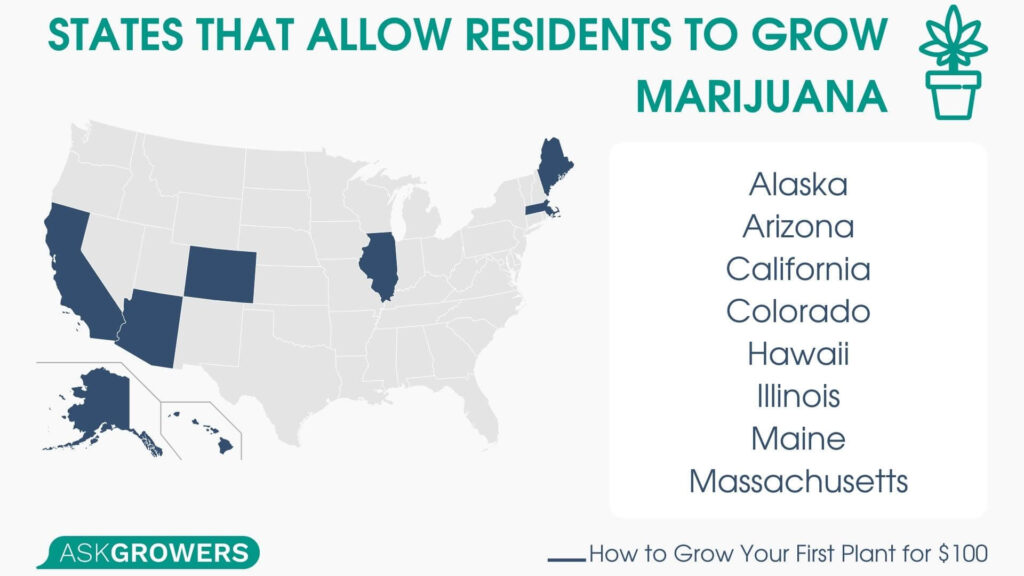 States That Allow Residents to Grow Marijuana